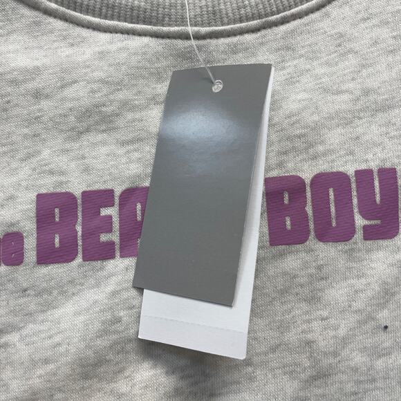 The Beach Boys Women's The Beach Boys Mountain Graphic Sweatshirt Gray Size S - Picture 4 of 5